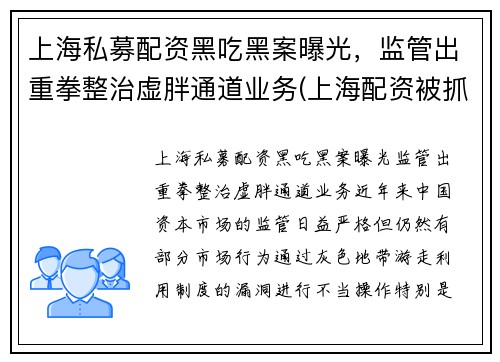 上海私募配资黑吃黑案曝光，监管出重拳整治虚胖通道业务(上海配资被抓)