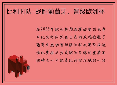 比利时队-战胜葡萄牙，晋级欧洲杯
