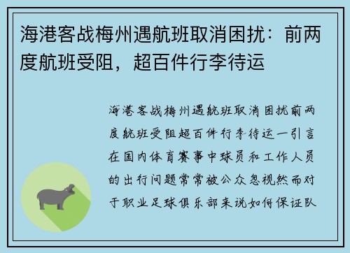 海港客战梅州遇航班取消困扰：前两度航班受阻，超百件行李待运