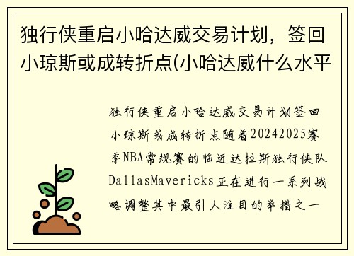 独行侠重启小哈达威交易计划，签回小琼斯或成转折点(小哈达威什么水平)