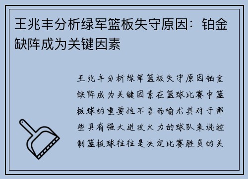 王兆丰分析绿军篮板失守原因：铂金缺阵成为关键因素