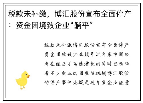 税款未补缴，博汇股份宣布全面停产：资金困境致企业“躺平”