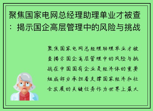 聚焦国家电网总经理助理单业才被查：揭示国企高层管理中的风险与挑战